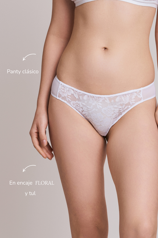 Panty Nova