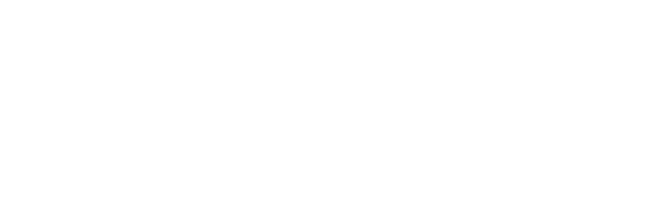 Duluva logo blanco